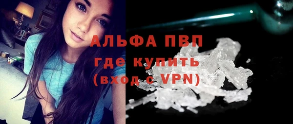 дживик Абаза